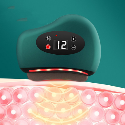 Electric Gua Sha Face Massager
